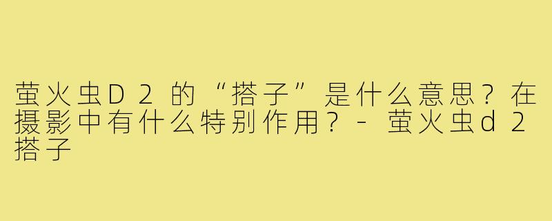 萤火虫D2的“搭子”是什么意思？在摄影中有什么特别作用？-萤火虫d2搭子