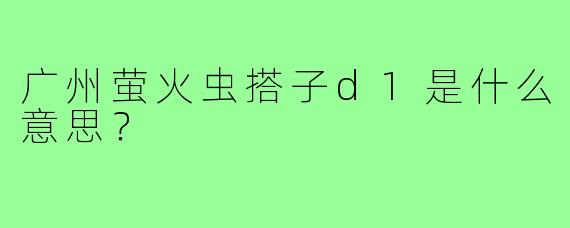 广州萤火虫搭子d1是什么意思？