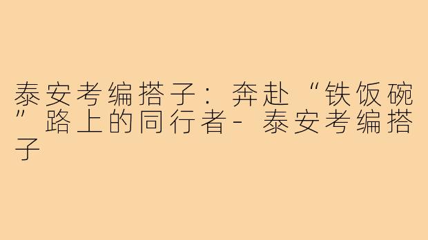泰安考编搭子：奔赴“铁饭碗”路上的同行者-泰安考编搭子