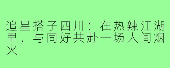 追星搭子四川:在热辣江湖里,与同好共赴一场人间烟火
