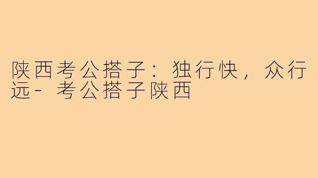 陕西考公搭子:独行快,众行远-考公搭子陕西