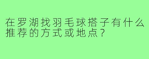 在罗湖找羽毛球搭子有什么推荐的方式或地点？
