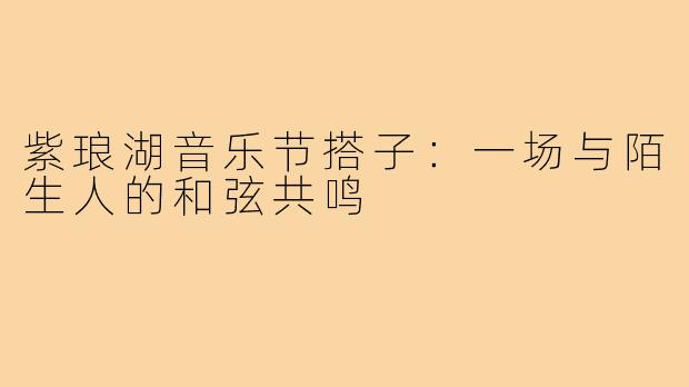 紫琅湖音乐节搭子：一场与陌生人的和弦共鸣
