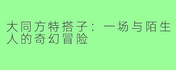 大同方特搭子：一场与陌生人的奇幻冒险
