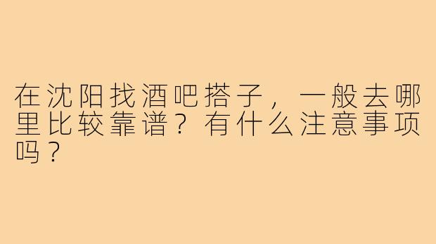 在沈阳找酒吧搭子，一般去哪里比较靠谱？有什么注意事项吗？