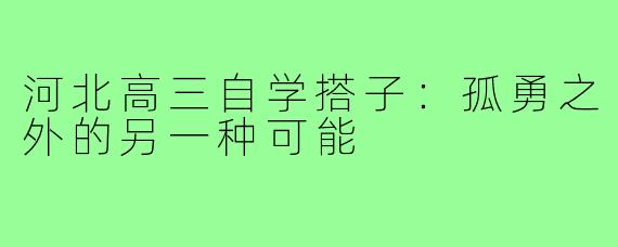 河北高三自学搭子：孤勇之外的另一种可能