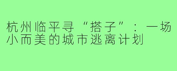 杭州临平寻“搭子”：一场小而美的城市逃离计划