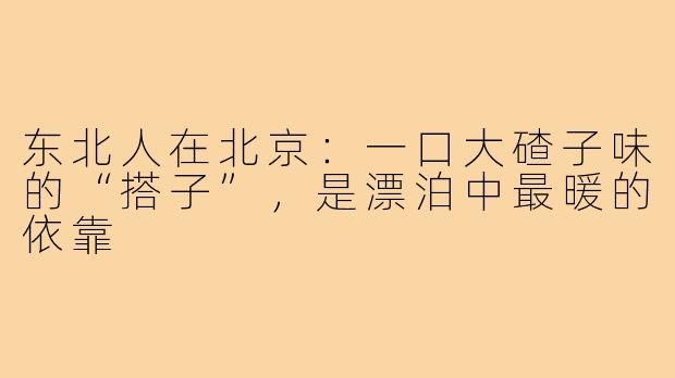 东北人在北京:一口大碴子味的“搭子”,是漂泊中最暖的依靠
