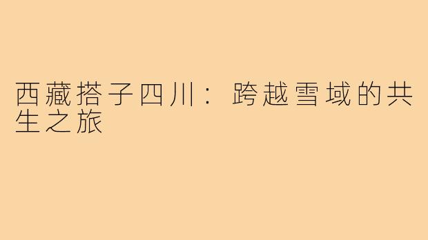 西藏搭子四川:跨越雪域的共生之旅