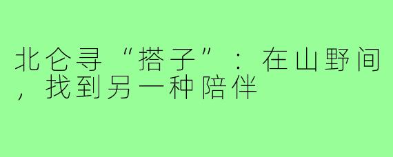 北仑寻“搭子”:在山野间,找到另一种陪伴