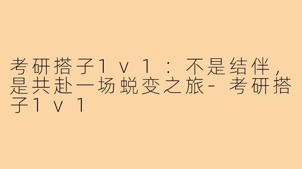 考研搭子1v1：不是结伴，是共赴一场蜕变之旅-考研搭子1v1