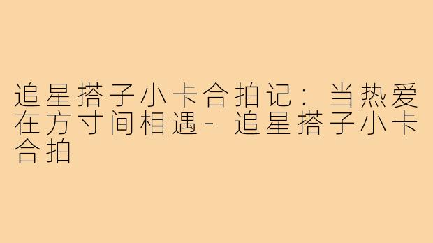 追星搭子小卡合拍记:当热爱在方寸间相遇-追星搭子小卡合拍