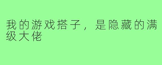 我的游戏搭子，是隐藏的满级大佬