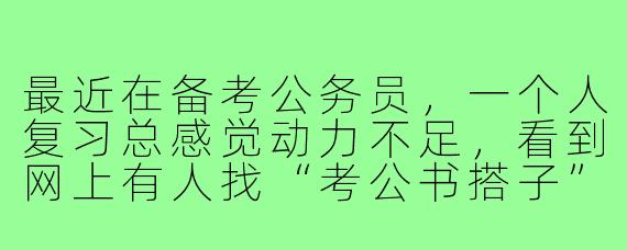 最近在备考公务员，一个人复习总感觉动力不足，看到网上有人找“考公书搭子”，这具体是指什么？有什么好处呢？