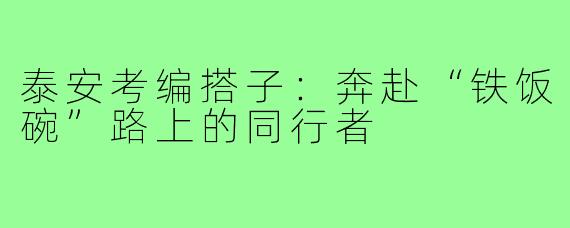 泰安考编搭子：奔赴“铁饭碗”路上的同行者