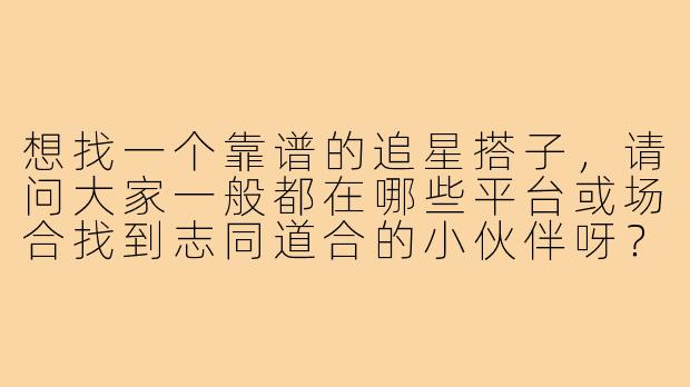想找一个靠谱的追星搭子，请问大家一般都在哪些平台或场合找到志同道合的小伙伴呀？