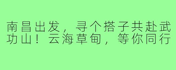 南昌出发,寻个搭子共赴武功山!云海草甸,等你同行