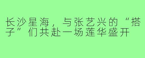 长沙星海，与张艺兴的“搭子”们共赴一场莲华盛开