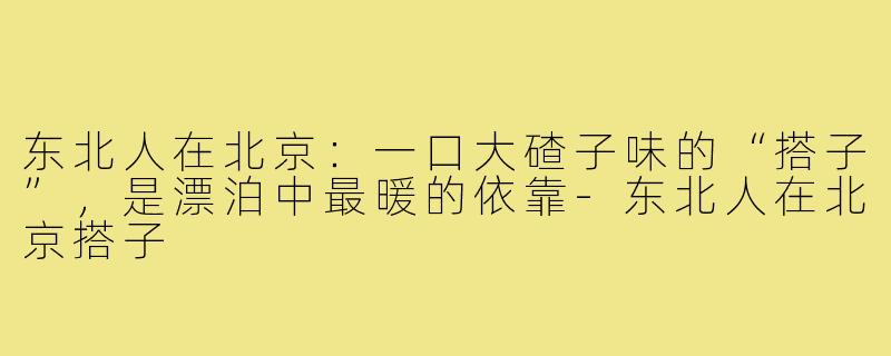 东北人在北京:一口大碴子味的“搭子”,是漂泊中最暖的依靠-东北人在北京搭子