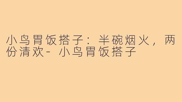 小鸟胃饭搭子：半碗烟火，两份清欢-小鸟胃饭搭子