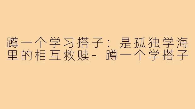 蹲一个学习搭子：是孤独学海里的相互救赎-蹲一个学搭子