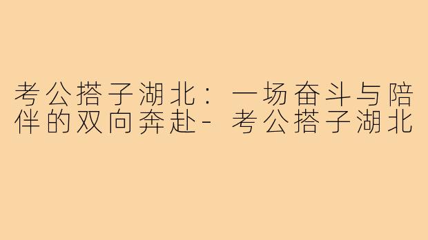 考公搭子湖北：一场奋斗与陪伴的双向奔赴-考公搭子湖北