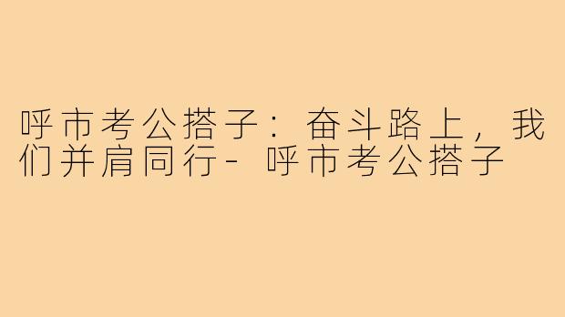 呼市考公搭子：奋斗路上，我们并肩同行-呼市考公搭子