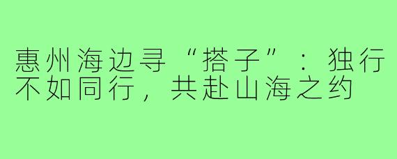 惠州海边寻“搭子”：独行不如同行，共赴山海之约