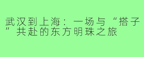 武汉到上海：一场与“搭子”共赴的东方明珠之旅