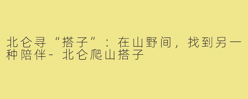 北仑寻“搭子”:在山野间,找到另一种陪伴-北仑爬山搭子