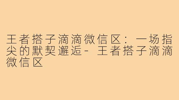 王者搭子滴滴微信区:一场指尖的默契邂逅-王者搭子滴滴微信区