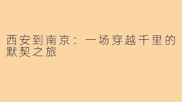 西安到南京:一场穿越千里的默契之旅