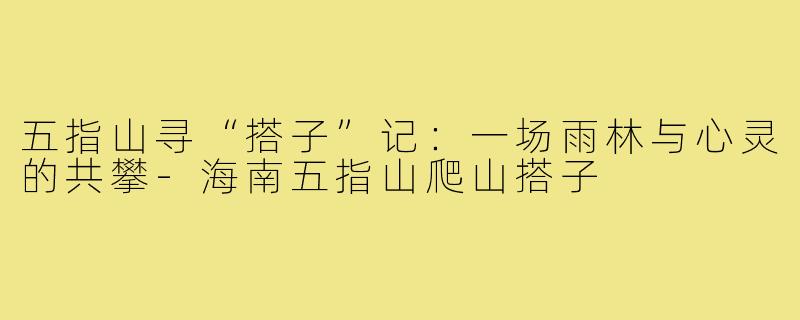 五指山寻“搭子”记：一场雨林与心灵的共攀-海南五指山爬山搭子