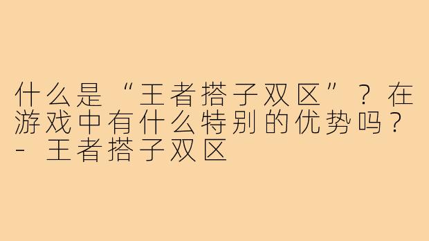 什么是“王者搭子双区”？在游戏中有什么特别的优势吗？-王者搭子双区