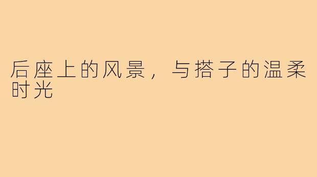 后座上的风景，与搭子的温柔时光