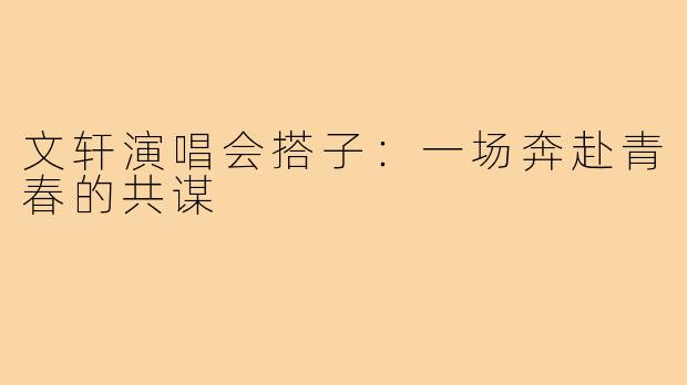 文轩演唱会搭子：一场奔赴青春的共谋