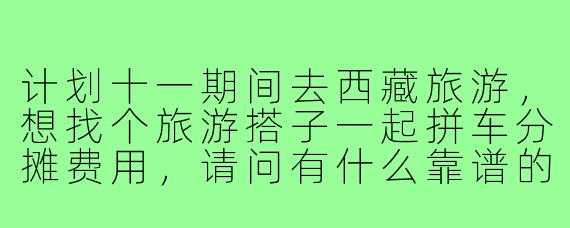 计划十一期间去西藏旅游，想找个旅游搭子一起拼车分摊费用，请问有什么靠谱的寻找渠道或注意事项？