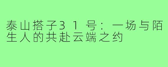 泰山搭子31号:一场与陌生人的共赴云端之约