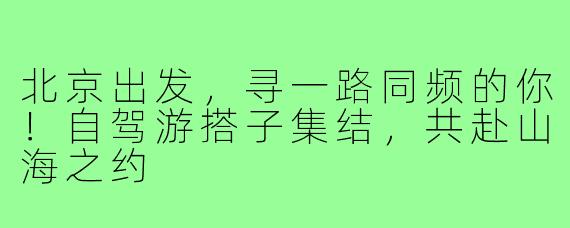 北京出发,寻一路同频的你!自驾游搭子集结,共赴山海之约