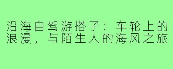 沿海自驾游搭子：车轮上的浪漫，与陌生人的海风之旅