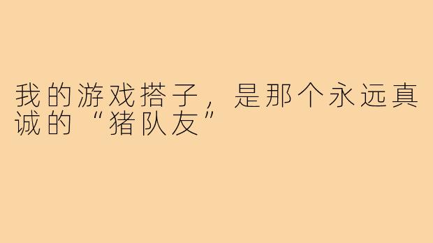 我的游戏搭子,是那个永远真诚的“猪队友”