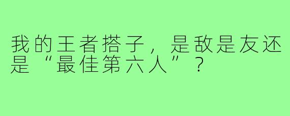 我的王者搭子,是敌是友还是“最佳第六人”?