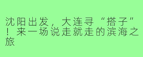 沈阳出发,大连寻“搭子”!来一场说走就走的滨海之旅