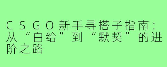 CSGO新手寻搭子指南：从“白给”到“默契”的进阶之路