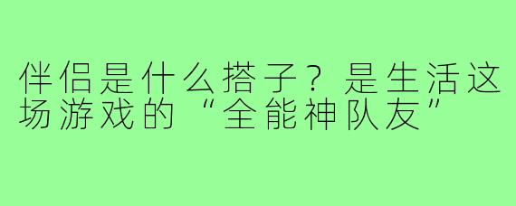 伴侣是什么搭子？是生活这场游戏的“全能神队友”