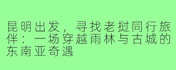 昆明出发，寻找老挝同行旅伴：一场穿越雨林与古城的东南亚奇遇
