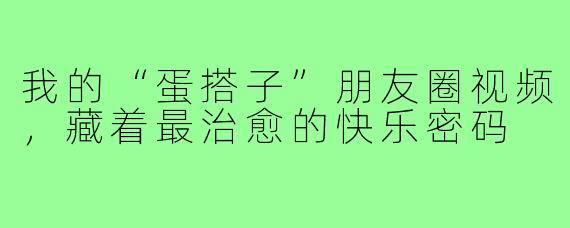 我的“蛋搭子”朋友圈视频,藏着最治愈的快乐密码