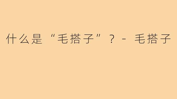 什么是“毛搭子”？-毛搭子