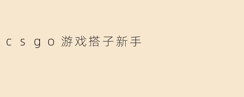 csgo游戏搭子新手