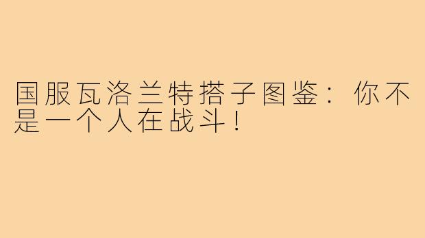国服瓦洛兰特搭子图鉴：你不是一个人在战斗！